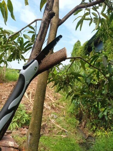 AIRAJ 1pc Industrial Grade Steel Folding Saw, Manual Cutting Tool with Anti-Slip Durable Handle, Three Specifications Available for Outdoor Use, Without Battery photo review