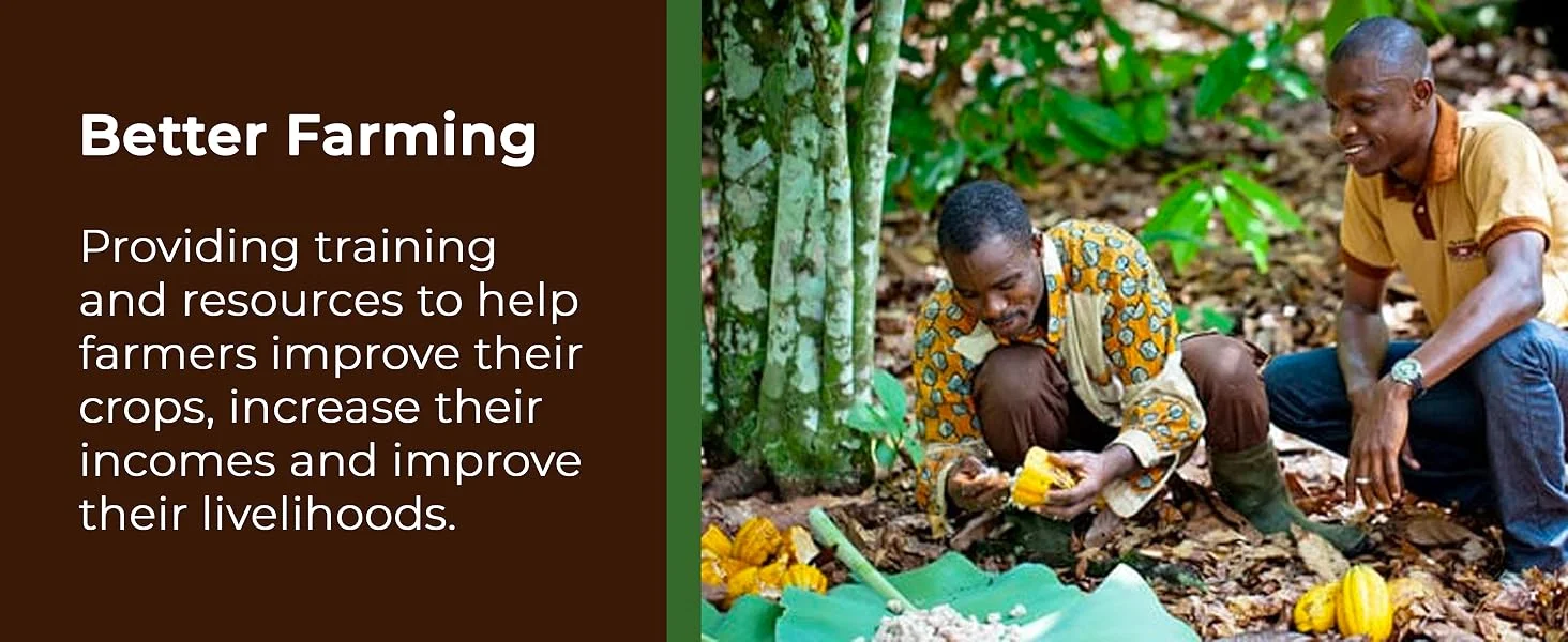 【New User Only】Nestlé Kitkat and Friends Big Biscuit Box | 69 x Chocolate Biscuit Bars – KitKat, Blue Riband, Toffee Crisp | Bulk Chocolate Box 1.357kg  X2 boxes