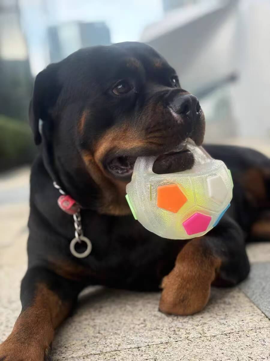 PawKick™ Durable Soccer Toy – Bouncy. Bite-Resistant & Fun Buy one get one free, double the fun